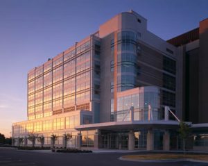 The Waisman Center
